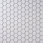 Load image into Gallery viewer, Simple White 2&quot; Hexagon Ceramic Mosaic Matte Flooring Tilezz 
