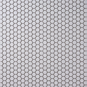 Simple White 1" Hexagon Ceramic Mosaic Matte Tilezz 