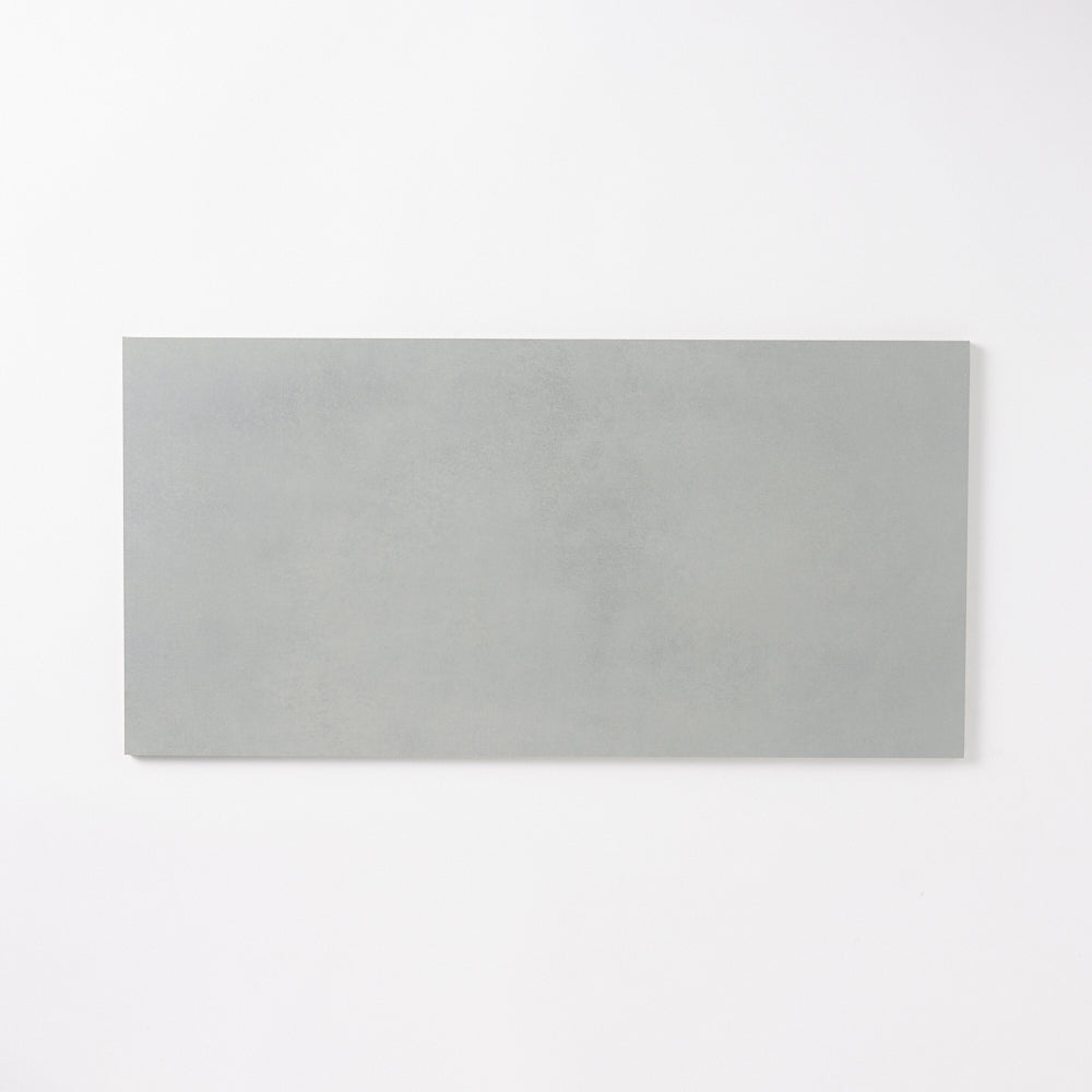 Momento Cement Gray 24x48 Porcelain Tile Tilezz 