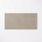 Load image into Gallery viewer, Pigment Smoke 24x48 Porcelain Tile Wall &amp; Ceiling Tile Tilezz 

