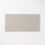 Load image into Gallery viewer, Pigment Silver 12x24 Porcelain Tile Wall &amp; Ceiling Tile Tilezz 
