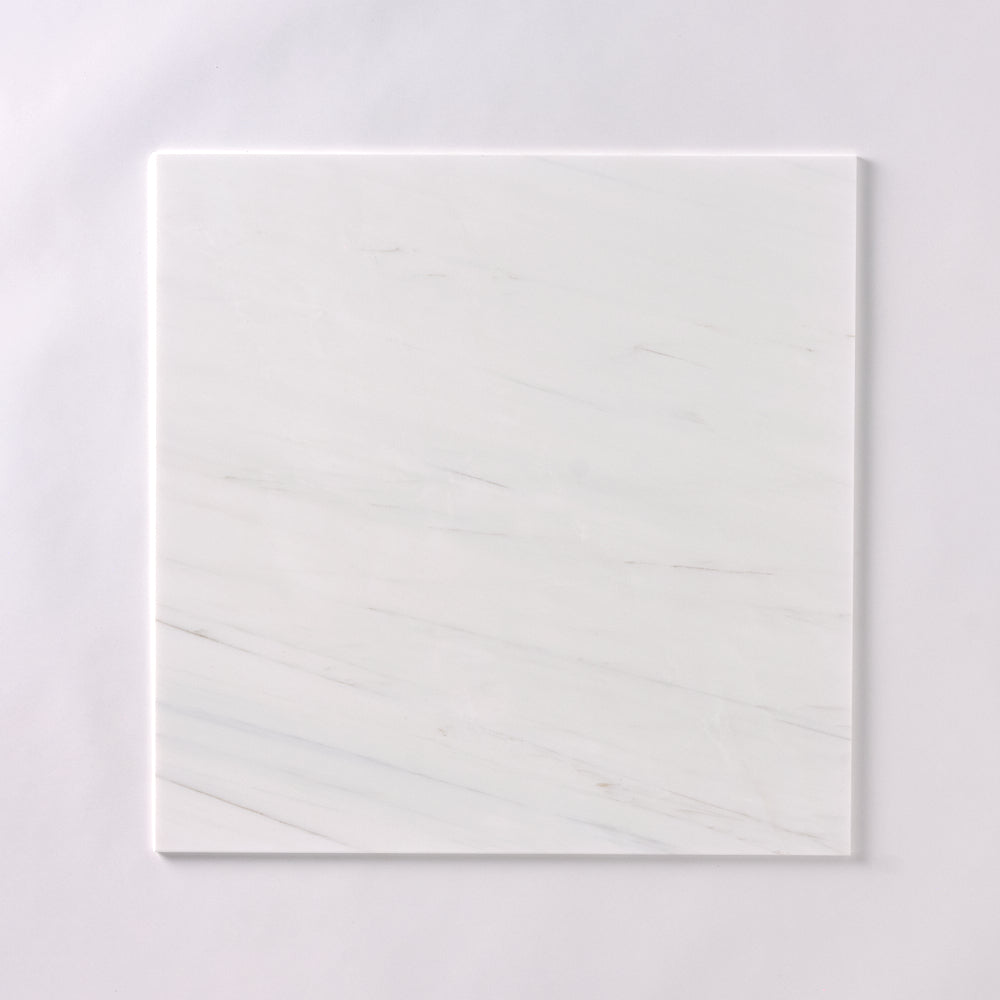 Bianco Dolomite 24x24 Polished/Honed Marble Tile Flooring Tilezz 