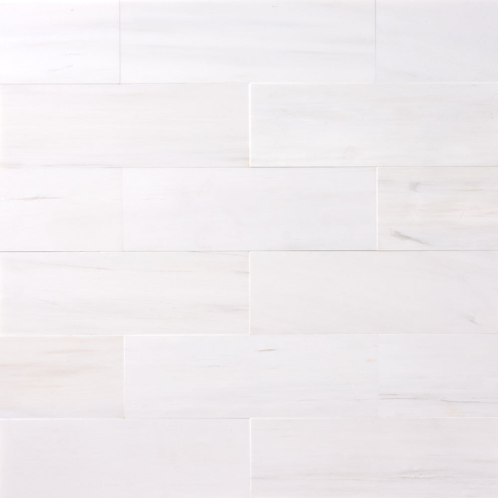 Bianco Dolomite 2x8 Polished/Honed Subway Tile Flooring Tilezz 