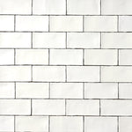 Load image into Gallery viewer, St Lucia Blanco 2.5 x 5 Ceramic Wall Tile Tilezz 
