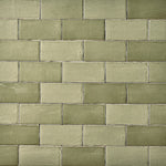 Load image into Gallery viewer, St. Lucia Green 2.5 x 5 Ceramic Wall Tile Tilezz 
