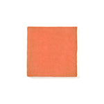 Load image into Gallery viewer, St Lucia Peach 5x5 Ceramic Wall Tile Tilezz 
